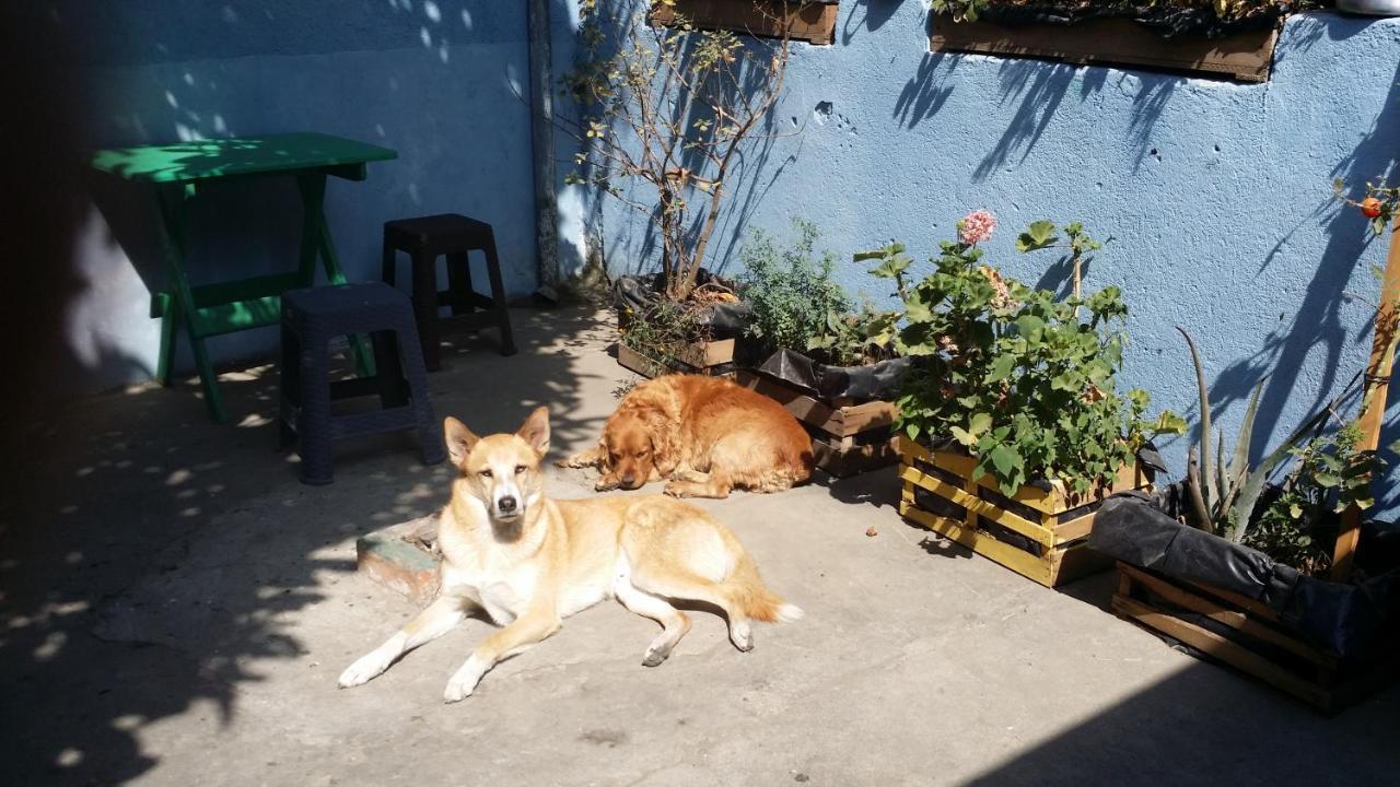 ホテル Casa Encuentro ケツァルテナンゴ エクステリア 写真